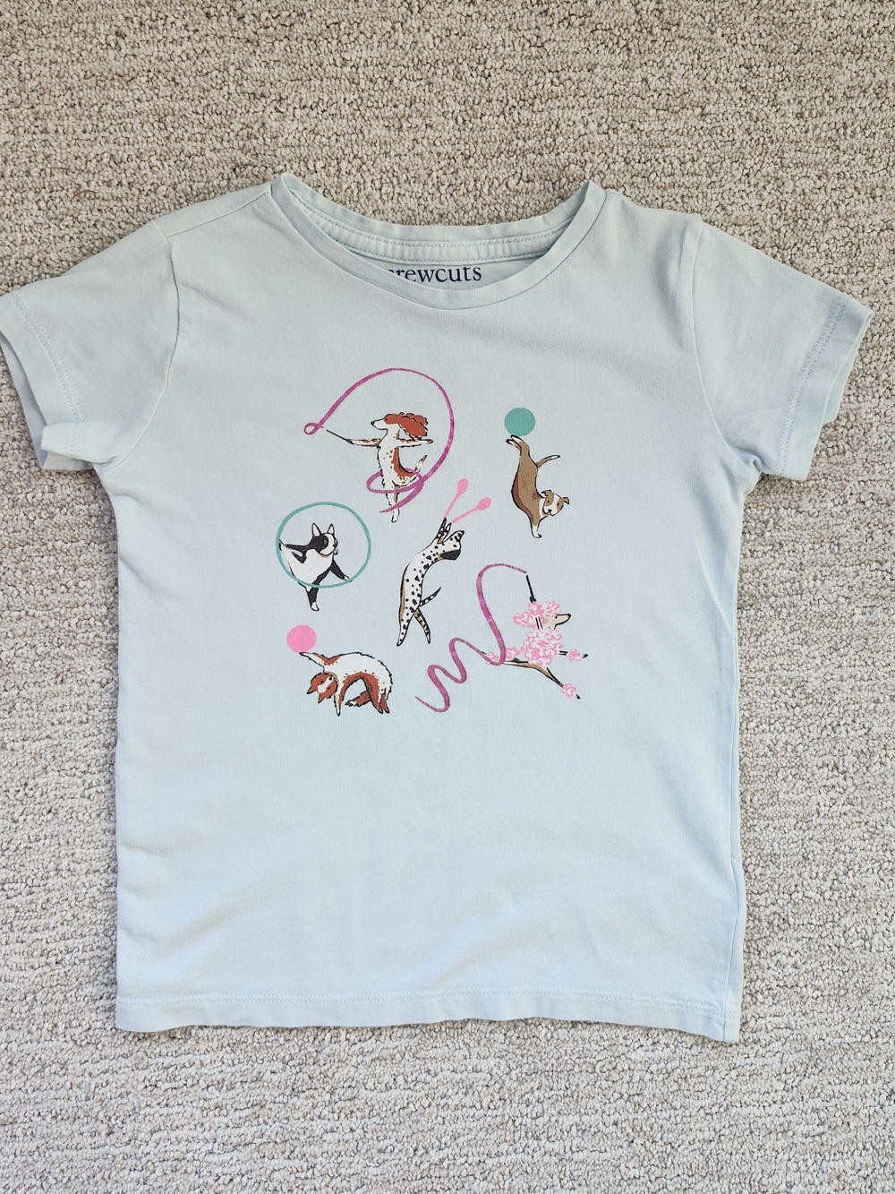 Crewcuts Light Blue Short Sleeve Tee with Ballet Puppy Print